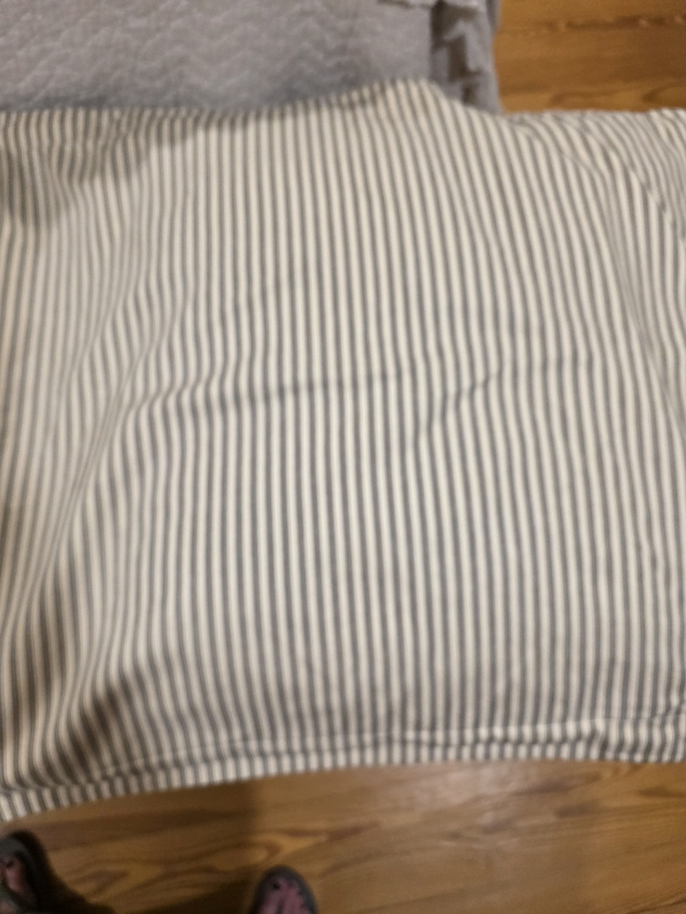 Pottery Barn Narrow Gray and Cream Stripe Euro Shams